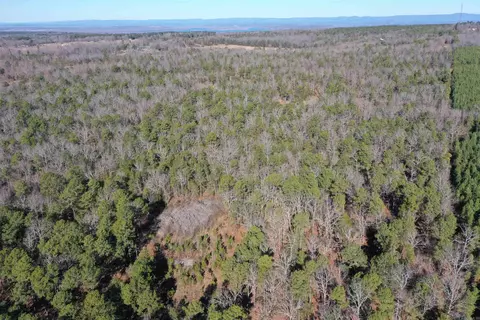 0000 Hwy 22, Delaware, AR 72835 photo 3