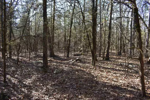 0000 Hwy 22, Delaware, AR 72835 photo 38