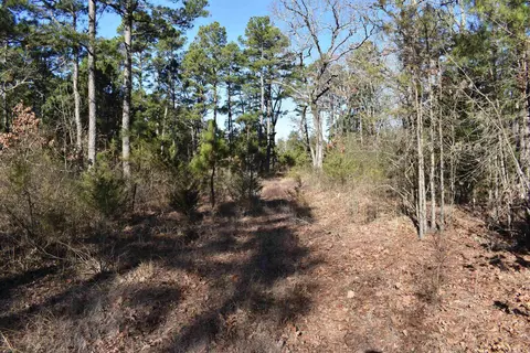 0000 Hwy 22, Delaware, AR 72835 photo 15