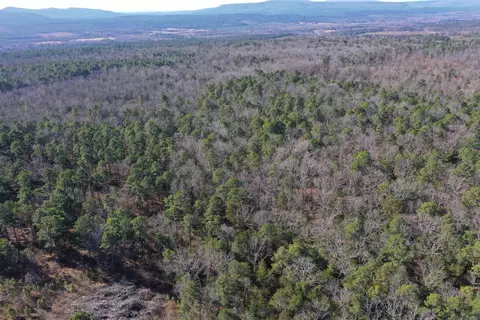 0000 Hwy 22, Delaware, AR 72835 photo 5