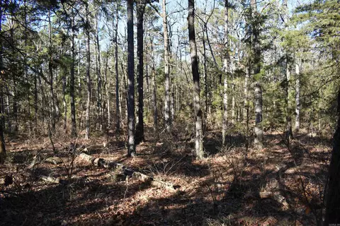 0000 Hwy 22, Delaware, AR 72835 photo 20