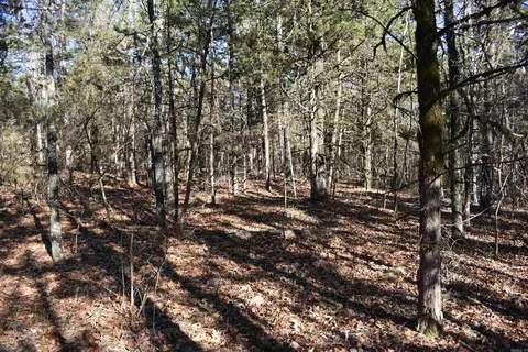 0000 Hwy 22, Delaware, AR 72835 photo 30