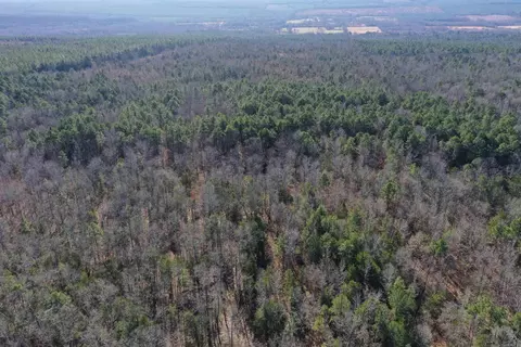 0000 Hwy 22, Delaware, AR 72835 photo 9