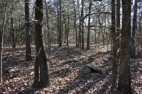 0000 Hwy 22, Delaware, AR 72835 photo 33