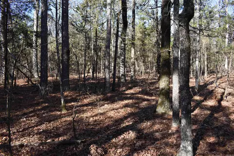 0000 Hwy 22, Delaware, AR 72835 photo 26