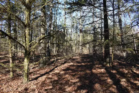 0000 Hwy 22, Delaware, AR 72835 photo 22