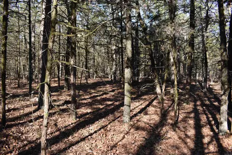 0000 Hwy 22, Delaware, AR 72835 photo 39
