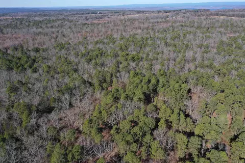 0000 Hwy 22, Delaware, AR 72835 photo 12