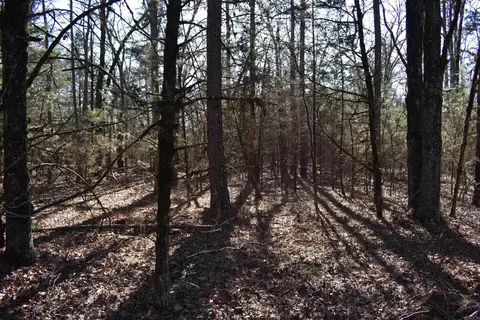0000 Hwy 22, Delaware, AR 72835 photo 37