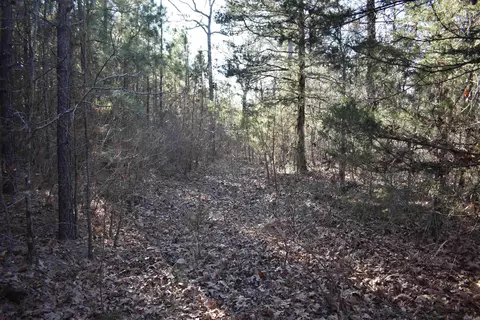 0000 Hwy 22, Delaware, AR 72835 photo 18