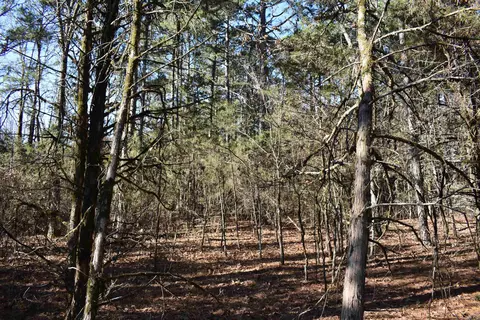 0000 Hwy 22, Delaware, AR 72835 photo 34