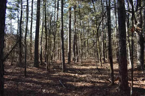 0000 Hwy 22, Delaware, AR 72835 photo 36