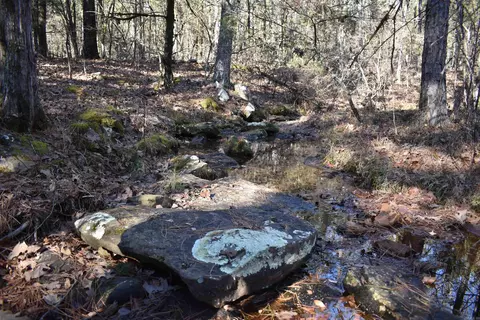 0000 Hwy 22, Delaware, AR 72835 photo 31