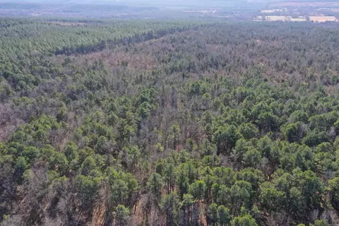 0000 Hwy 22, Delaware, AR 72835 photo 10