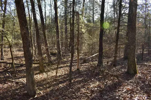 0000 Hwy 22, Delaware, AR 72835 photo 28