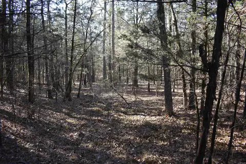 0000 Hwy 22, Delaware, AR 72835 photo 25