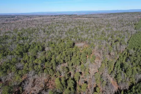 0000 Hwy 22, Delaware, AR 72835 photo 2