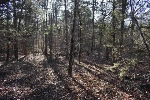 0000 Hwy 22, Delaware, AR 72835 photo 23