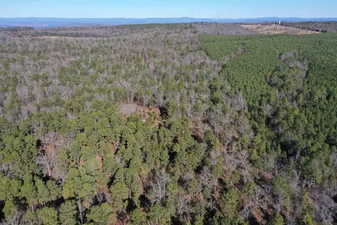 0000 Hwy 22, Delaware, AR 72835 photo 13