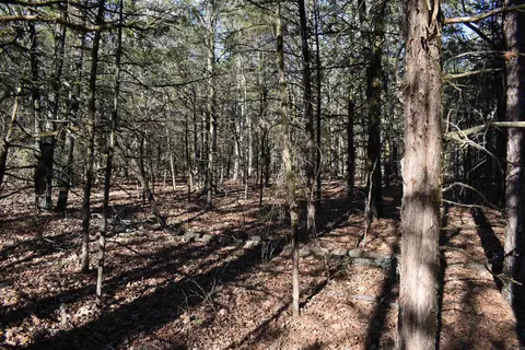0000 Hwy 22, Delaware, AR 72835 photo 32