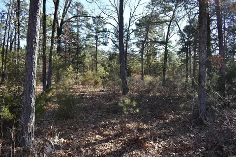 0000 Hwy 22, Delaware, AR 72835 photo 17