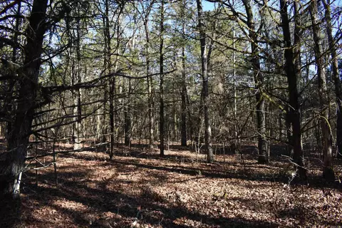 0000 Hwy 22, Delaware, AR 72835 photo 35