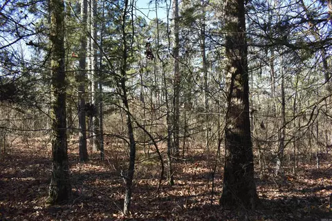 0000 Hwy 22, Delaware, AR 72835 photo 19