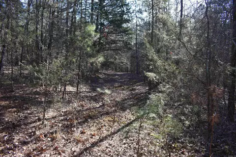 0000 Hwy 22, Delaware, AR 72835 photo 24
