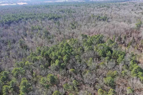 0000 Hwy 22, Delaware, AR 72835 photo 7