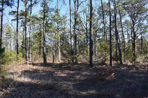 0000 Hwy 22, Delaware, AR 72835 photo 43