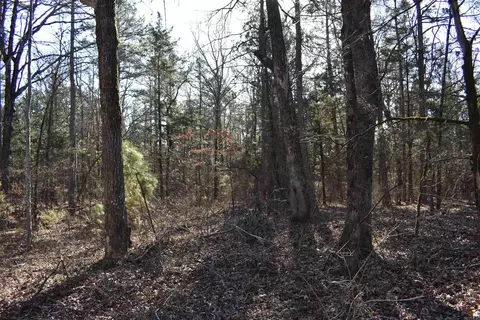 0000 Hwy 22, Delaware, AR 72835 photo 29
