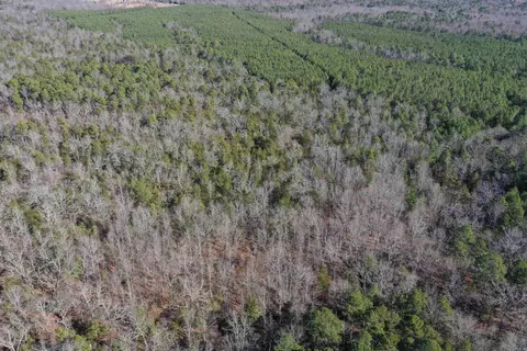 0000 Hwy 22, Delaware, AR 72835 photo 11