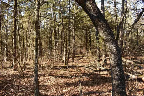 0000 Hwy 22, Delaware, AR 72835 photo 21