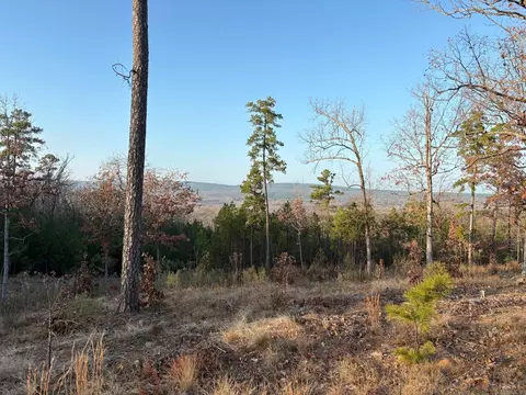 17114 Valley View Loop, Roland, AR 72135