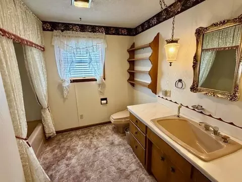 Bath - 382 Riverview Dr, Mammoth Spring, AR 72554 photo 1 of 1