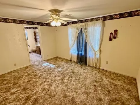 Living - 382 Riverview Dr, Mammoth Spring, AR 72554 photo 5 of 5