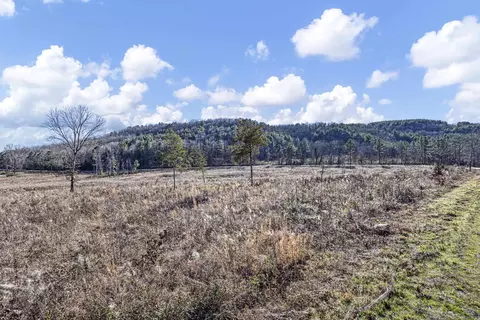 9 Arkansas 164, Dover, AR 72837 photo 5