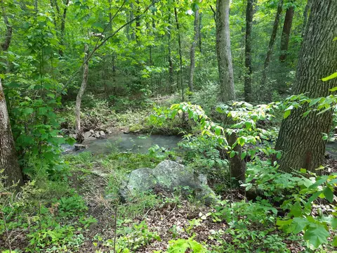 Flat Rock, Mountain View, AR 72560 photo 13