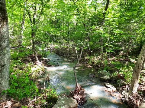 Flat Rock, Mountain View, AR 72560 photo 8