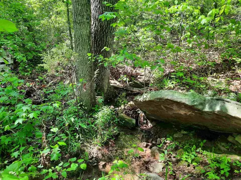 Flat Rock, Mountain View, AR 72560 photo 10