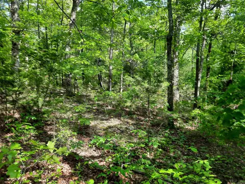 Flat Rock, Mountain View, AR 72560 photo 11