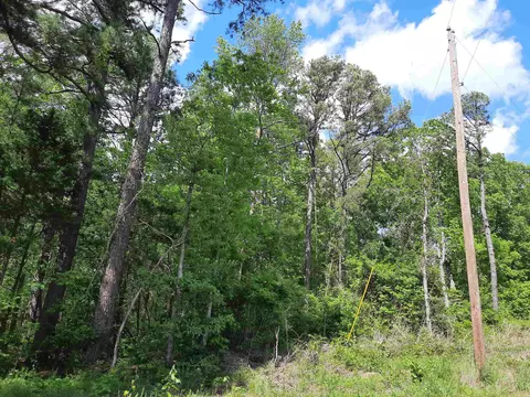 Flat Rock, Mountain View, AR 72560 photo 4