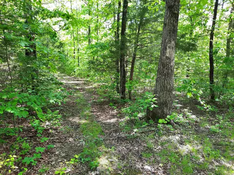 Flat Rock, Mountain View, AR 72560