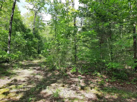 Flat Rock, Mountain View, AR 72560 photo 7