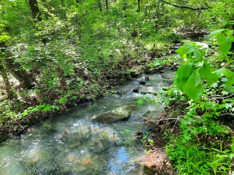 Flat Rock, Mountain View, AR 72560 photo 3