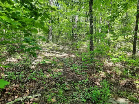 Flat Rock, Mountain View, AR 72560 photo 9