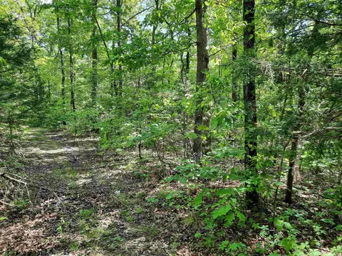 Flat Rock, Mountain View, AR 72560 photo 6