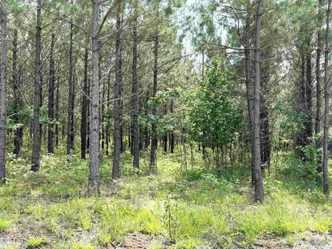 lot28 Grant County Road 763, Sheridan, AR 72150