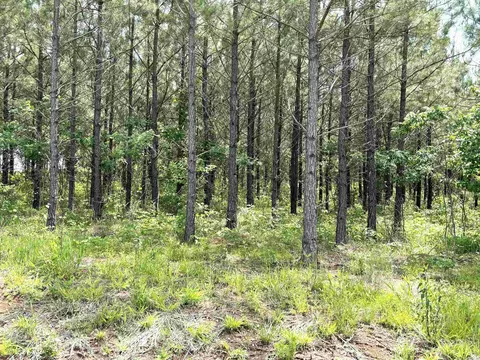 lot27 Grant County Road 763, Sheridan, AR 72150