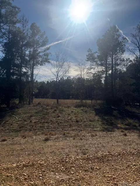 00 Young Pines Dr, Rison, AR 71655 photo 7